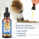 Digestive Support with Probiotics Liquid