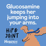 Hip & Joint Support Chews