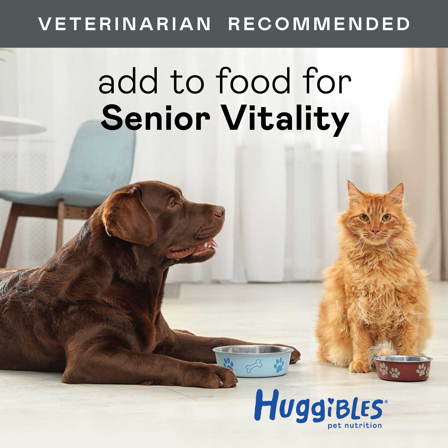 Vitality Blend for Senior Dogs and Cats