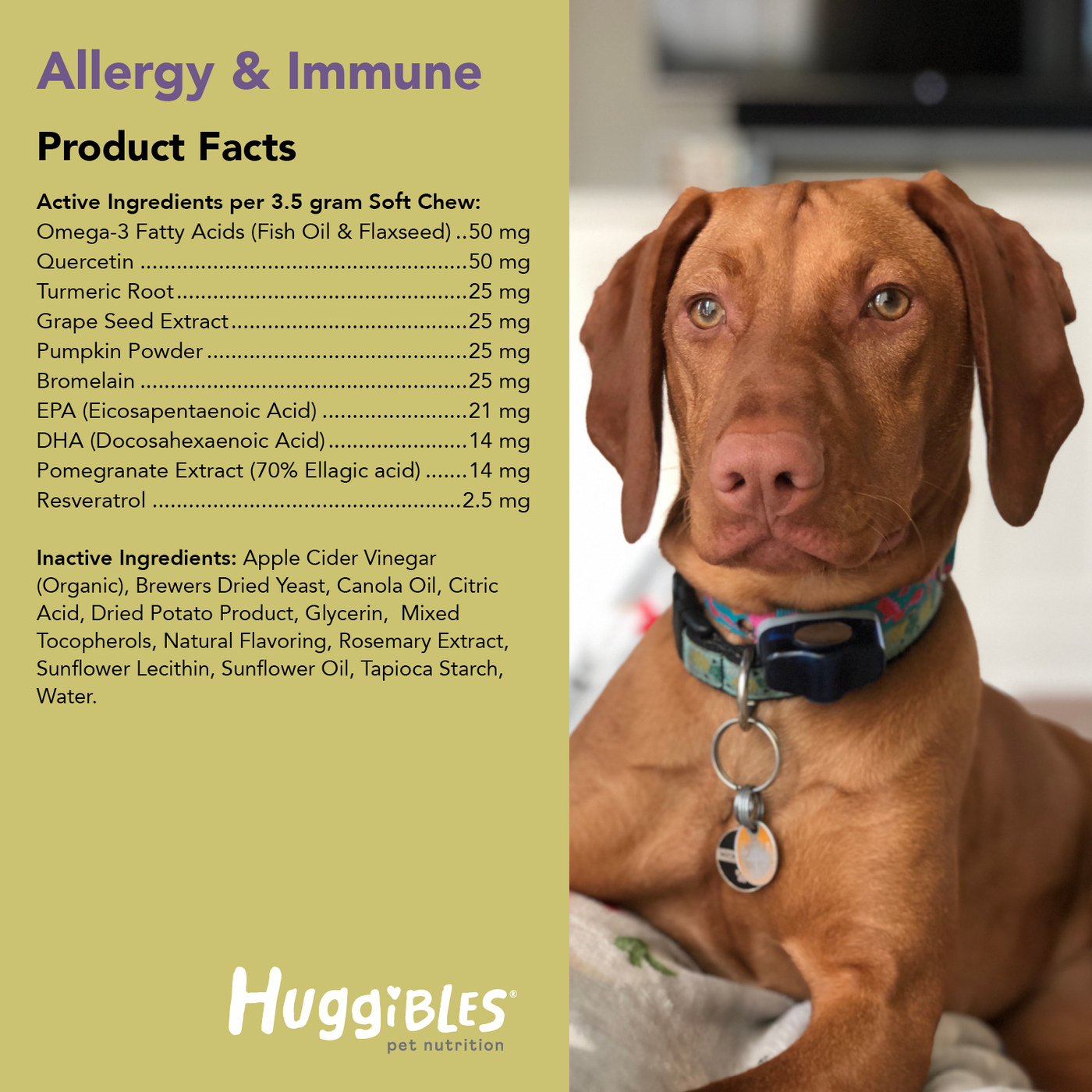 Allergy Immunity Support Chews Health Supplement For Dogs Huggibles Pet Nutrition