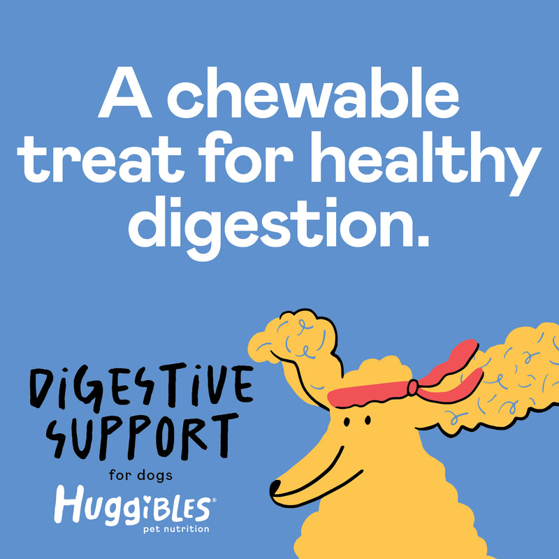 Digestive Support with Probiotics Chews